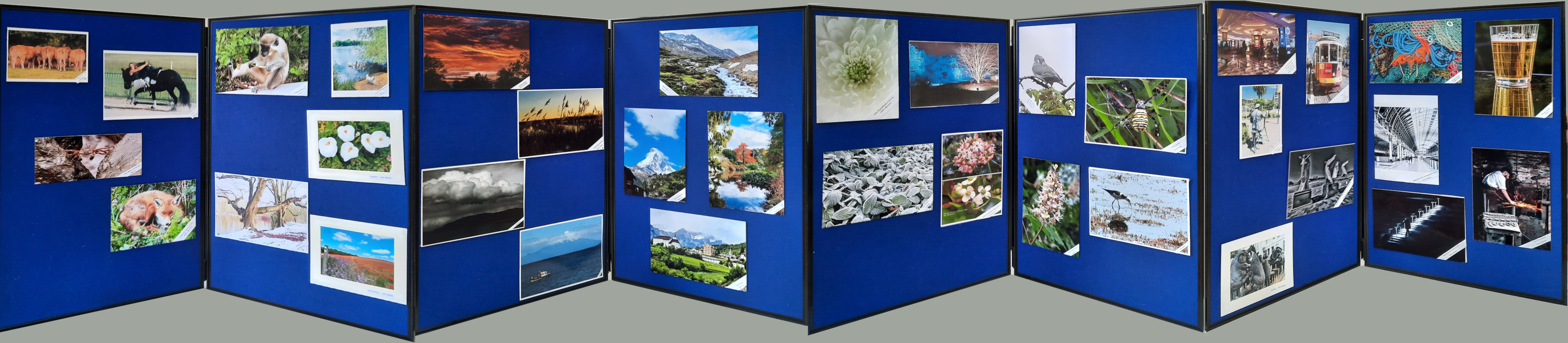 Display of pictures 1